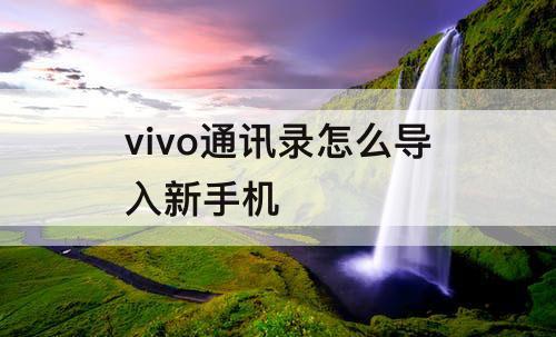 vivo通讯录怎么导入新手机