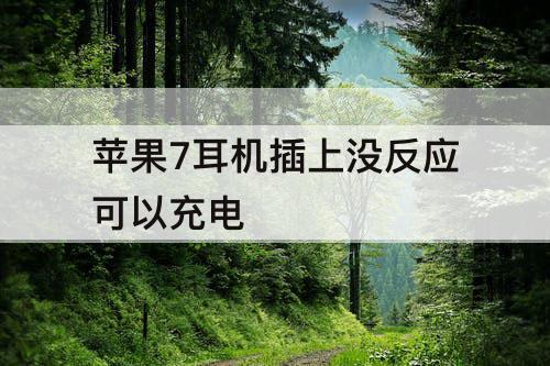 苹果7耳机插上没反应可以充电