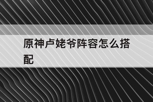 原神卢姥爷阵容怎么搭配