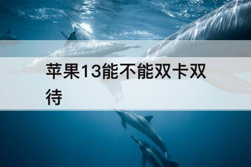 苹果13能不能双卡双待