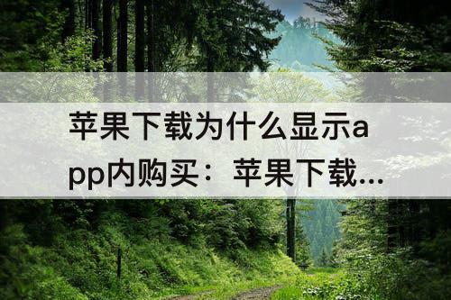 苹果下载为什么显示app内购买：苹果下载为什么显示app内购买别的苹果就不用