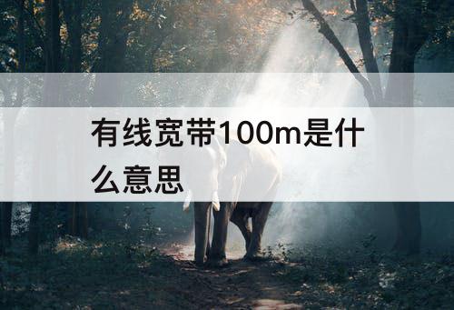有线宽带100m是什么意思