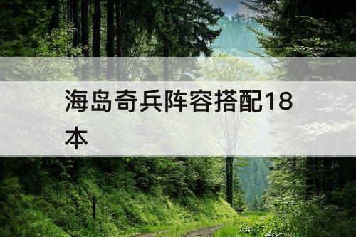 海岛奇兵阵容搭配18本
