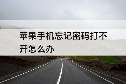 苹果手机忘记密码打不开怎么办