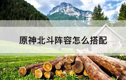 原神北斗阵容怎么搭配