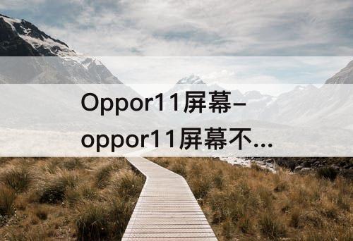 Oppor11屏幕-oppor11屏幕不灵敏怎么办