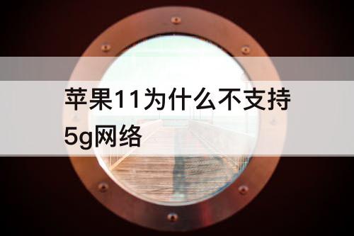 苹果11为什么不支持5g网络