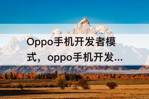 Oppo手机开发者模式，oppo手机开发者模式怎么开启