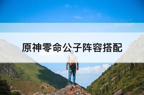 原神零命公子阵容搭配