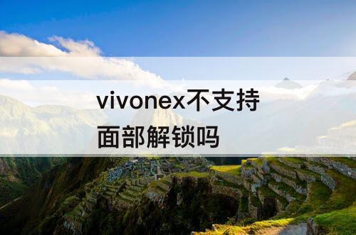 vivonex不支持面部解锁吗