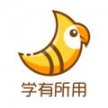 斑鸠