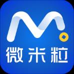 微米粒