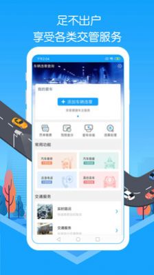 车辆违章查询  v1.60图3