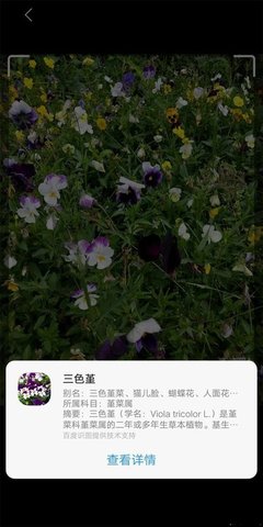 Jovi语音  v3.1.1.0图1