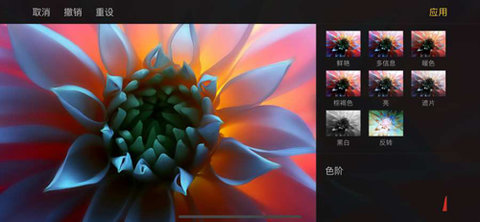 Pixelmator  v1.0图1