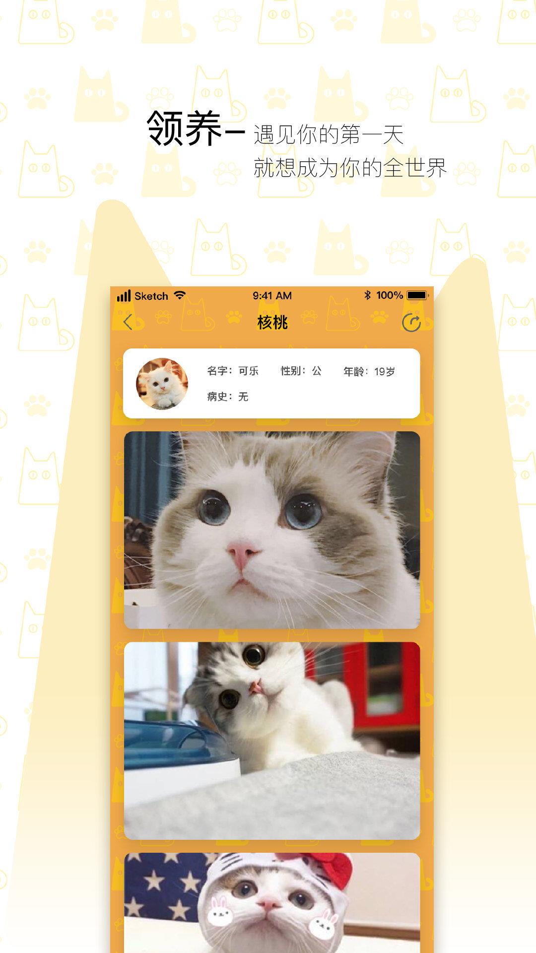 我要猫  v2.4.1图1