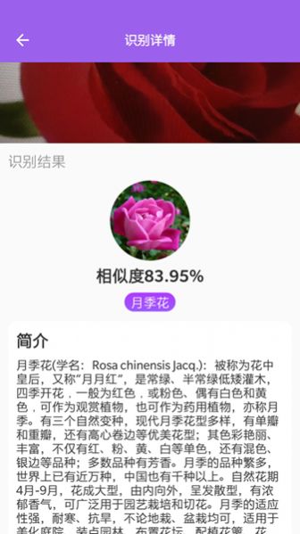 随手拍照识别  v1.0.9图1