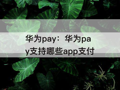 华为pay：华为pay支持哪些app支付