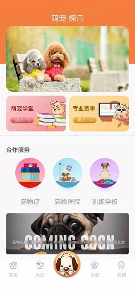 探爪小程序  v1.3.6图2