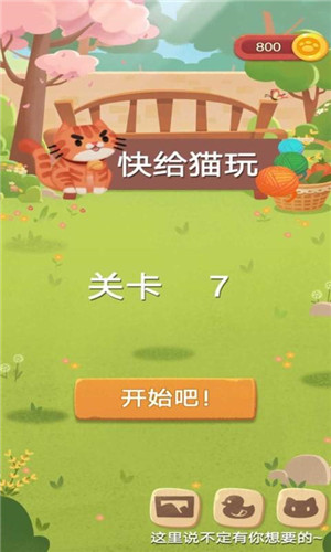 快给猫玩  v1.0图2