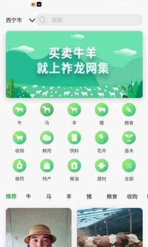 祚龙网集  v1.0图3