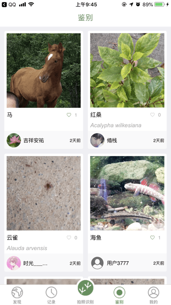 生物记  v1.5.5图1