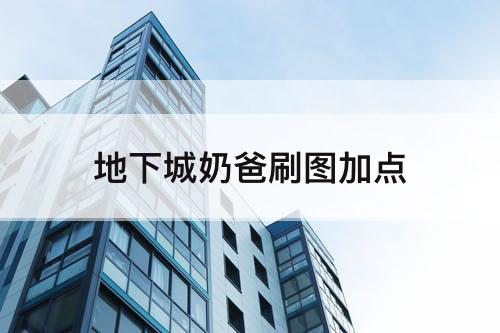 地下城奶爸刷图加点