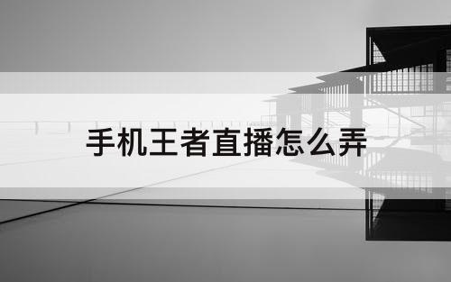 手机王者直播怎么弄