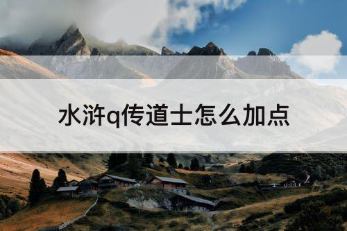 水浒q传道士怎么加点