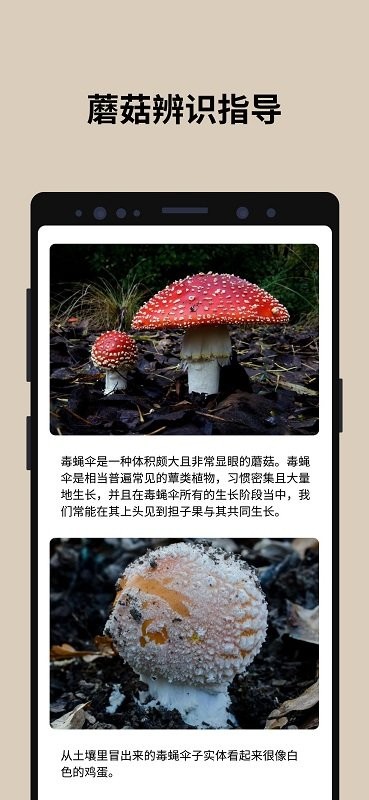 蘑菇识别2024  v2.8.13图3