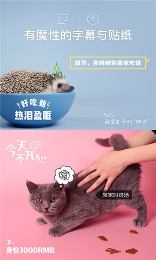 猫饼安卓版  v2.0.0图1