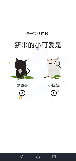 猫上漫画官网最新版