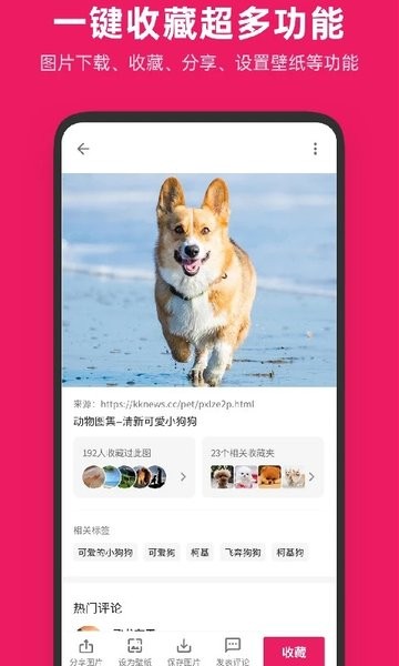 图片搜搜  v5.2.9图3