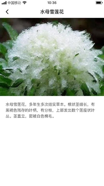 云鼎雪莲安卓版  v1.0.0图2