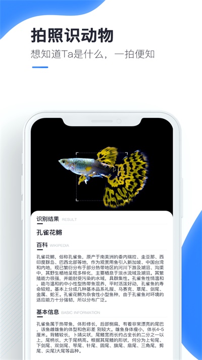 百科扫描王手机版下载安装官网  v1.0.0图1