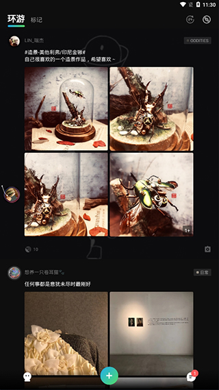 诅咒之岛最新版本下载安装  v0.2.6.192图1