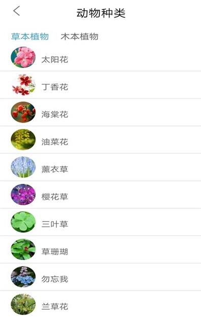 植物品鉴  v1.0图2