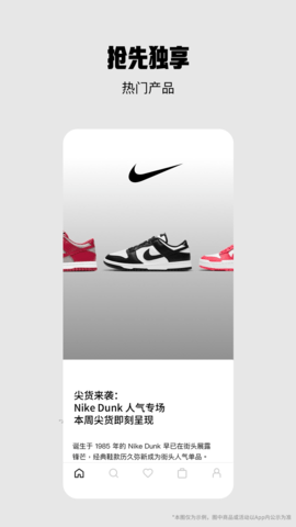 Nike  v22.24.4图1