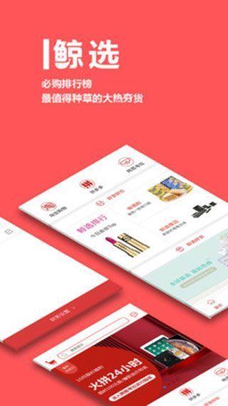 鲸主义  v1.2.3图3