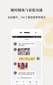 小狗在家宠物狗猫  v3.2.0图1