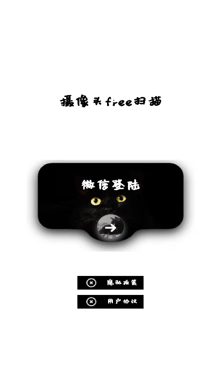 网络摄像头检测器  v1.0图1