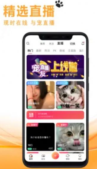 宠友社交平台官网下载安卓版  v1.0.7图1