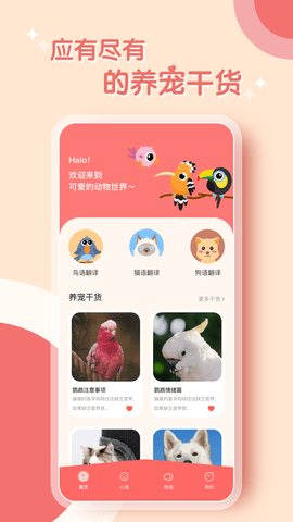 鹦鹉翻译器  v1.0.0图2