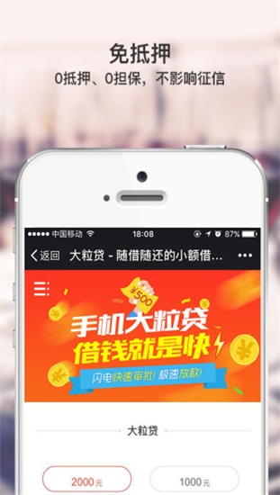 大粒贷安卓版app  v2.1.6图2