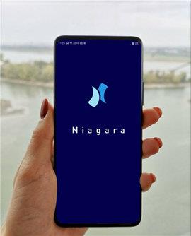 niagara  v1.0.0图3