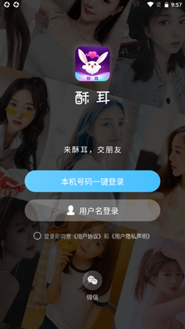 酥耳交友手机版  v1.0图1