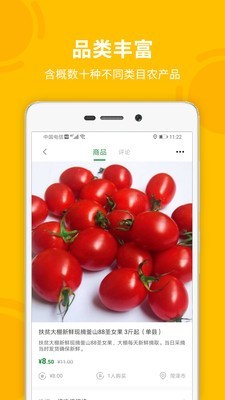 菏菜壹号  v1.1.1图1