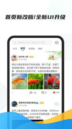 龙巅  v6.1.4图1