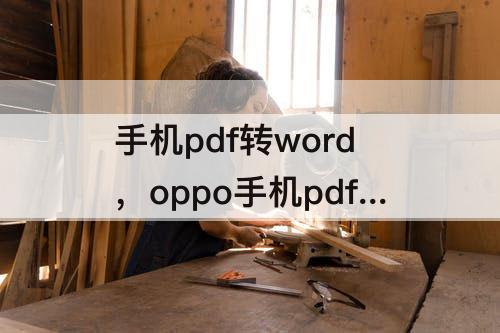 手机pdf转word，oppo手机pdf转word