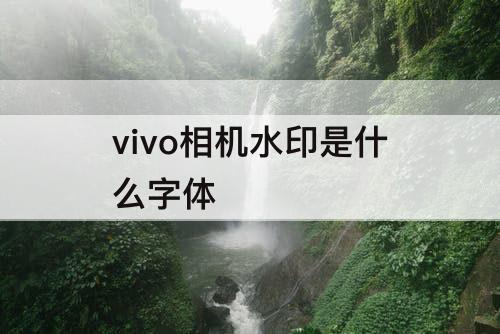 vivo相机水印是什么字体